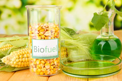Rudge biofuel availability