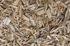 biomass boilers Rudge